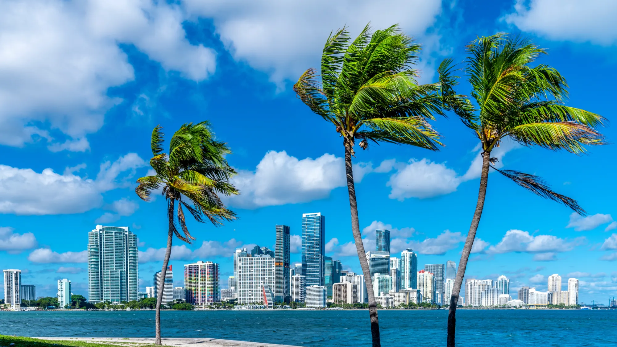 How to Verify Your HOA's Corporate Status in Florida